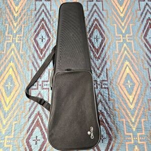 Cecilio violin case‎